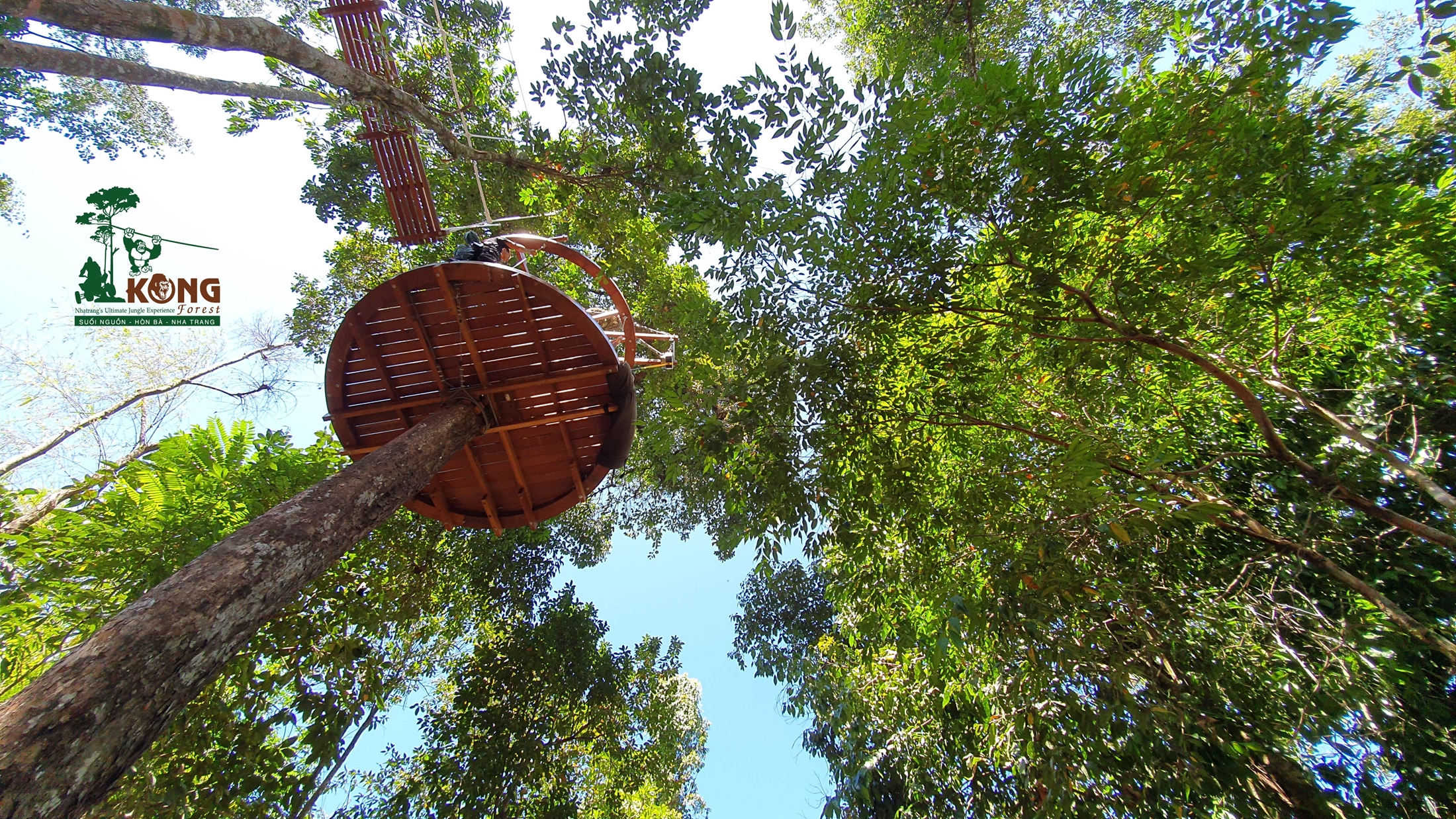 Hành trình Zipline Canopy trong rừng 90 - 120p