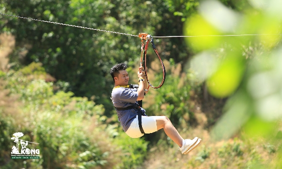 Hành trình Zipline Canopy trong rừng 90 - 120p