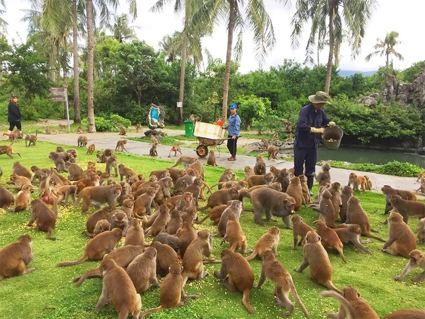 1 ngày ở nha trang nên đi đâu